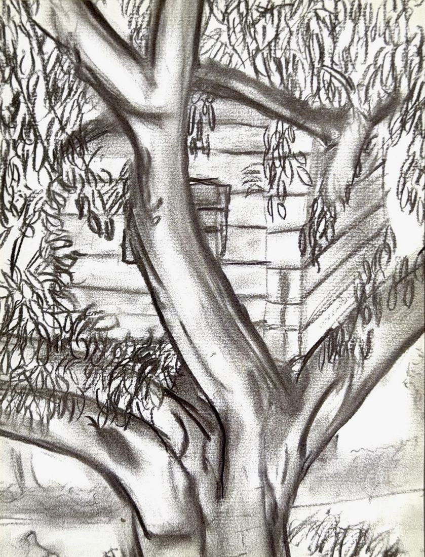 Pencil drawing of a treehouse among the branches of a tree